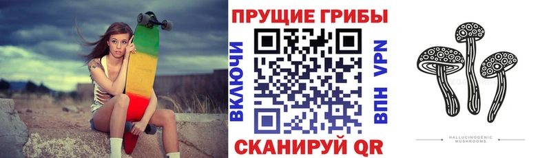 Псилоцибиновые грибы мицелий купить сайты kraken онион Цимлянск